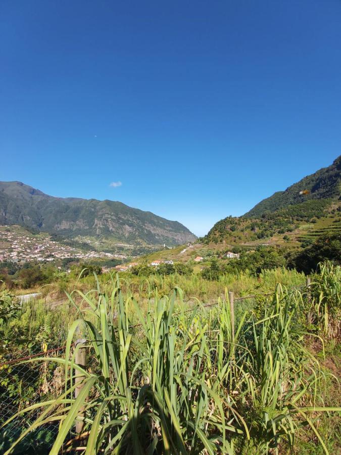 Lameiros Cottage São Vicente المظهر الخارجي الصورة