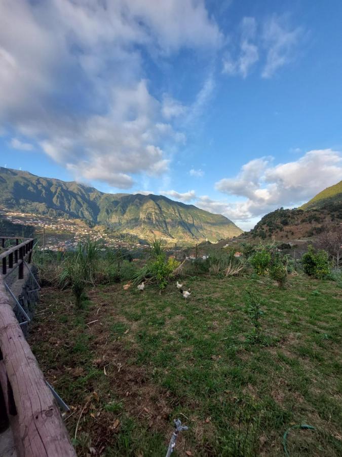 Lameiros Cottage São Vicente المظهر الخارجي الصورة